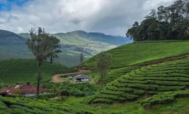 Beautiful Kerala